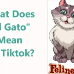 What Does "El Gato" Mean