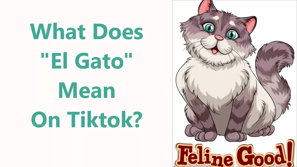 What Does "El Gato" Mean